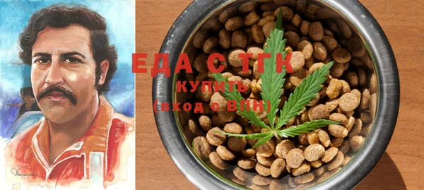 ECSTASY Алзамай