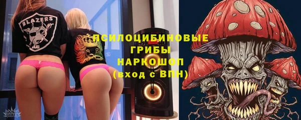 ECSTASY Алзамай