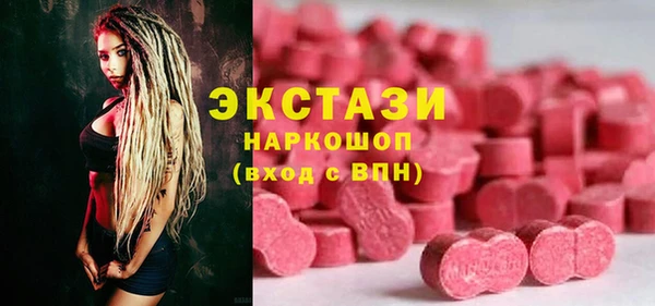 ECSTASY Алзамай