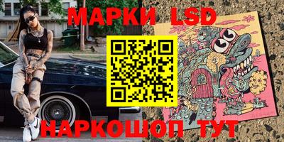 крисы Кингисепп