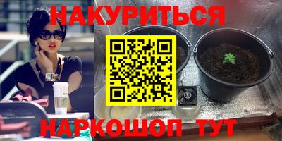 крисы Кингисепп