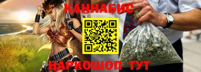 крисы Кингисепп