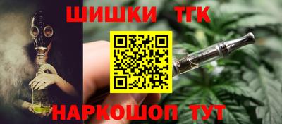 крисы Кингисепп