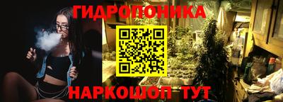 Альфа ПВП Кимры