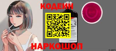 крисы Кингисепп
